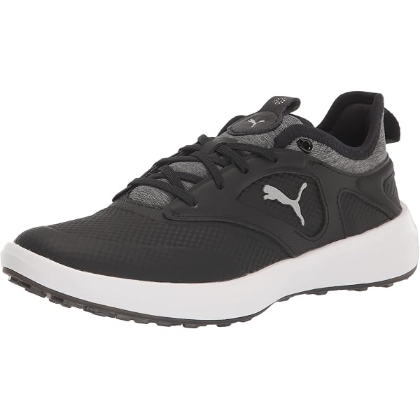 Amazon.com | Puma Women's Ignite Blaze Pro Athletic Shoe, Puma